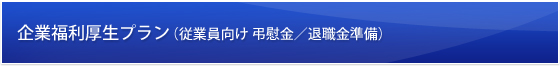企業福利厚生プラン(従業員向け 弔慰金/退職金準備)