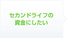 �Z�J���h���C�t�̎����ɂ�����