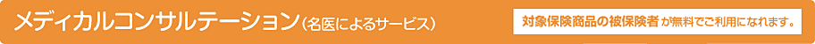 ���f�B�J���R���T���e�B���O�i����ɂ��T�[�r�X�j�@�Ώەی����i�̔�ی��҂������ł����p�ɂȂ�܂��B