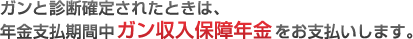 �K���Ɛf�f�m�肳�ꂽ�Ƃ��́A�N���x�����Ԓ��K�������ۏ�N�������x�������܂��B