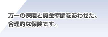 ����̕ۏ�Ǝ������������킹���A�l�����̍����I�v�����B