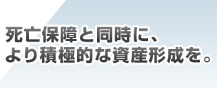 ���S�ۏ�Ɠ����ɁA���ϋɓI�Ȏ��Y�`�����B