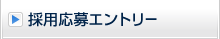 �̗p����G���g���[