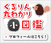 ������ۂ킩�菬�}�Ӂ@�y�v���t�B�[���͂�����I�z