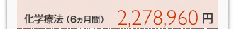 化学療法(6ヵ月間) 2,278,960円