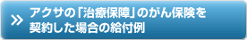 �A�N�T�́u���Õۏ�v�̂���ی����_�񂵂��ꍇ�̋��t��