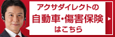 �A�N�T�_�C���N�g�̎����ԁE���Q�ی��͂�����