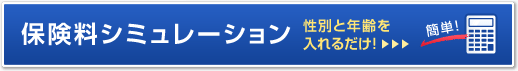 �ی����V�~�����[�V���� ���ʂƔN������邾���I�ȒP�I